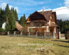 Poiana dintre Brazi Chalet, Bucegi Panorama